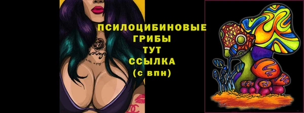 герыч Абаза