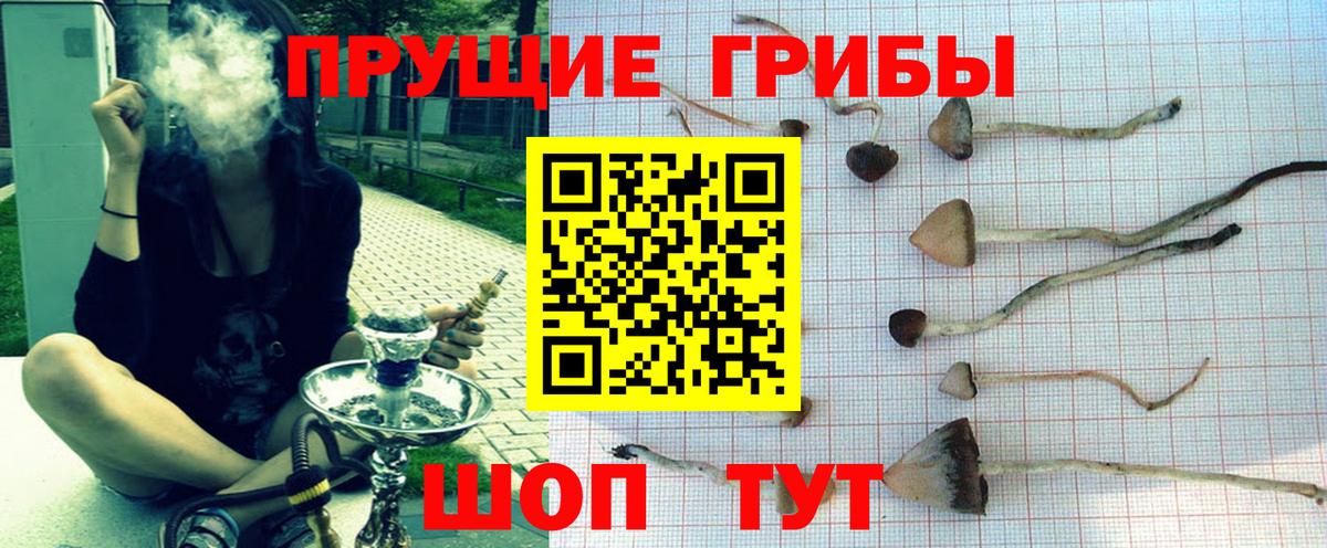 Галлюциногенные грибы прущие грибы Юрга