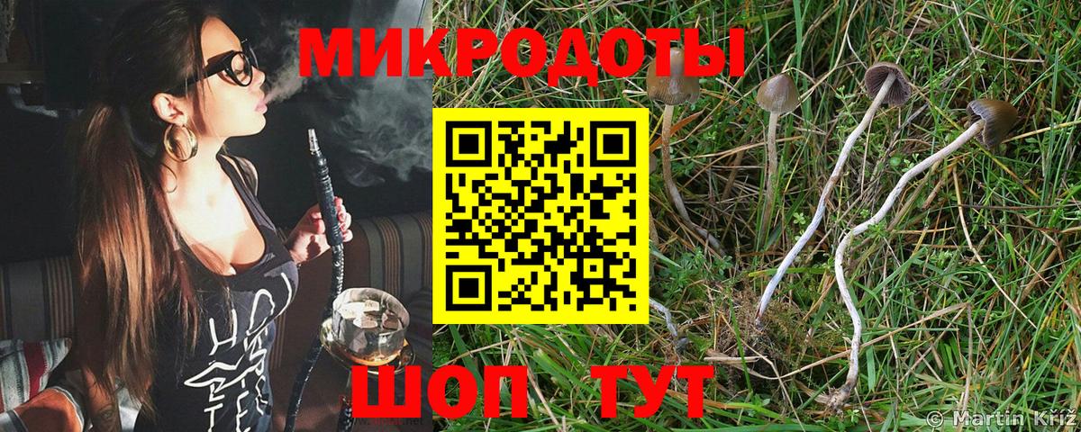 Юрга  Галлюциногенные грибы мицелий  цена наркотик  Вход с VPN  Псилоцибиновые грибы Psilocybine cubensis 